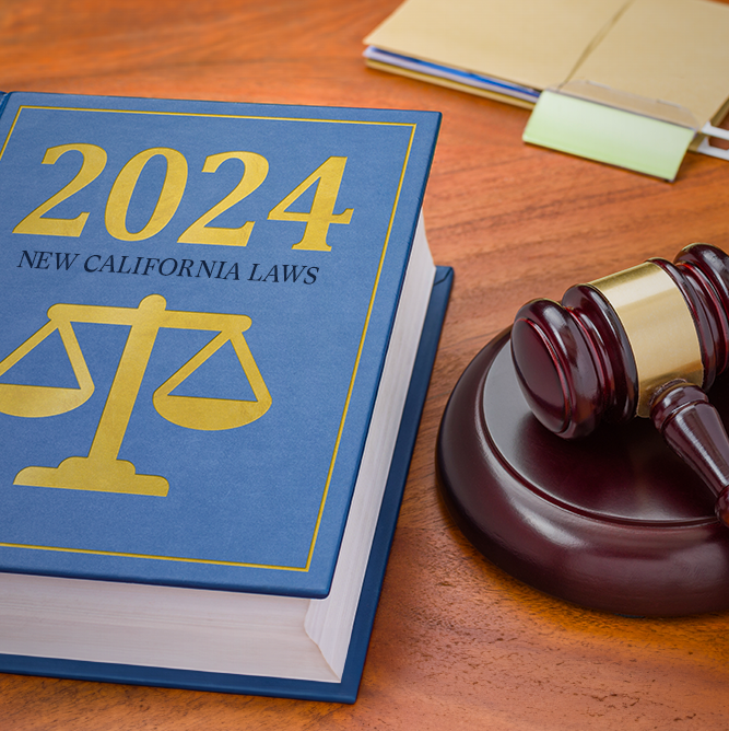 4 New Employment Laws That Can Affect You In 2024 Dlaw 7482